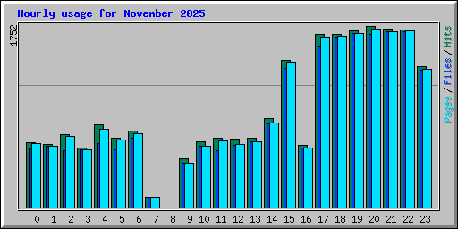 Hourly usage for November 2025