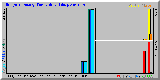 Usage summary for web1.bidnapper.com